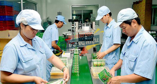 Chất lượng và hiệu quả sản phẩm của Dược phẩm OPC