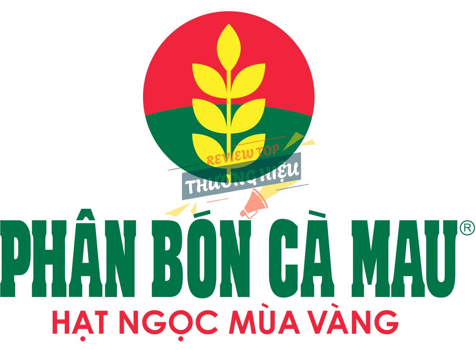 Công ty Cổ phần Phân bón Dầu khí Cà Mau Logo