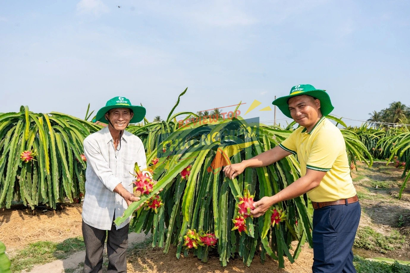 Đánh giá chất lượng sản phẩm và hiệu quả sử dụng Phân bón Cà Mau