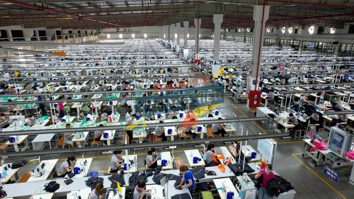 Ngành nghề chính và vị thế trên thị trường