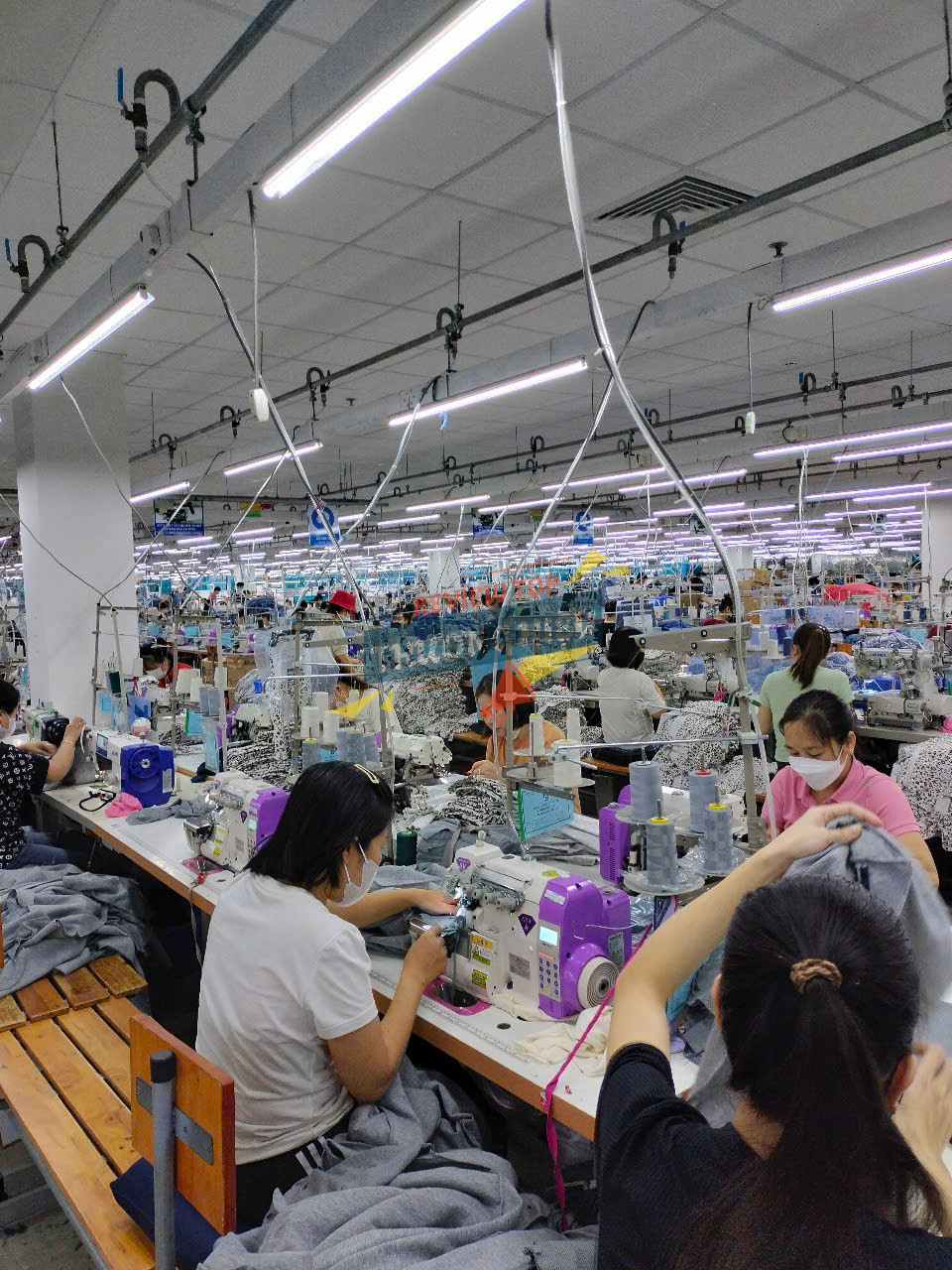 Sản phẩm của Leading Star Việt Nam