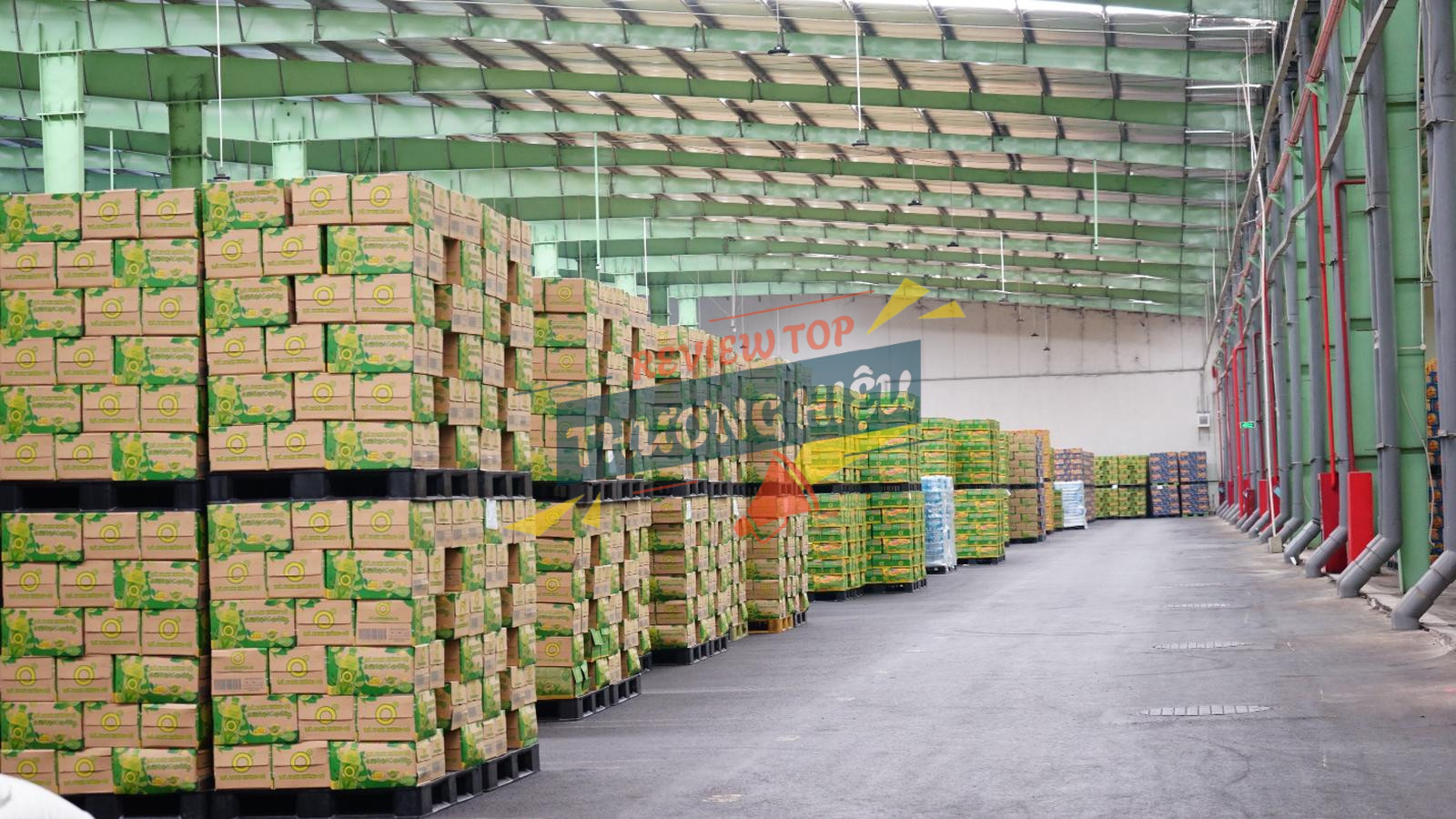 Tân Hiệp Phát là đơn vị tiên phong giới thiệu ra thị trường ngành hàng nước giải khát