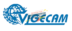 Vigecam Logo
