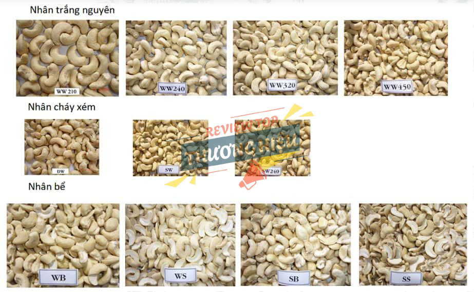 Đa dạng các loại hạt điều nhân xuất khẩu và tiêu chuẩn chất lượng