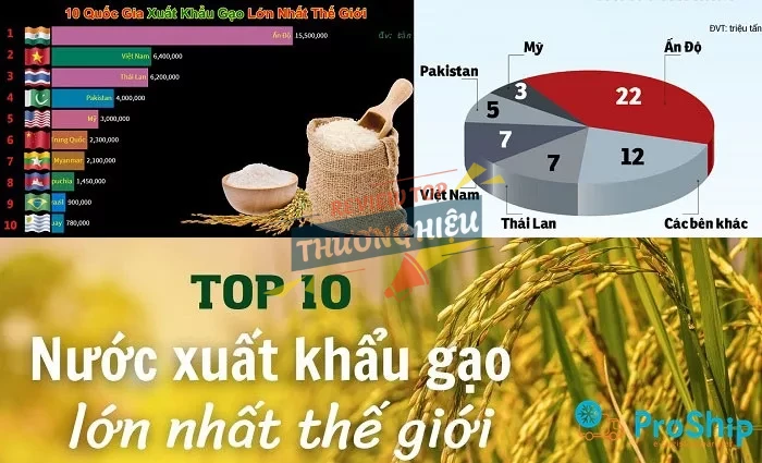 Gạo Thành Tín xuất khẩu đi những nước nào trên thế giới?