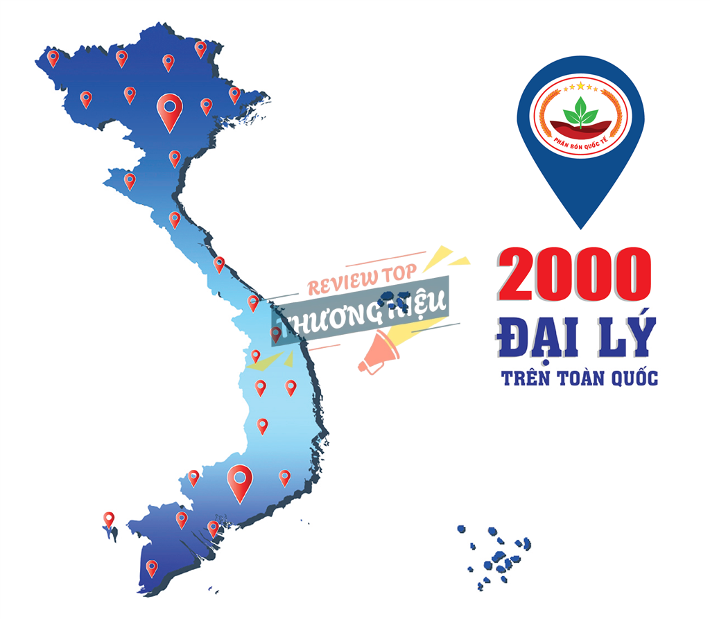 Review Tổng Công Ty Viglacera - Ctcp Có Uy Tín Không? 12 Hệ thống đại lý Viglacera và kênh phân phối trên toàn quốc