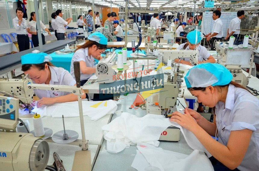 Môi trường làm việc của Việt Tiến