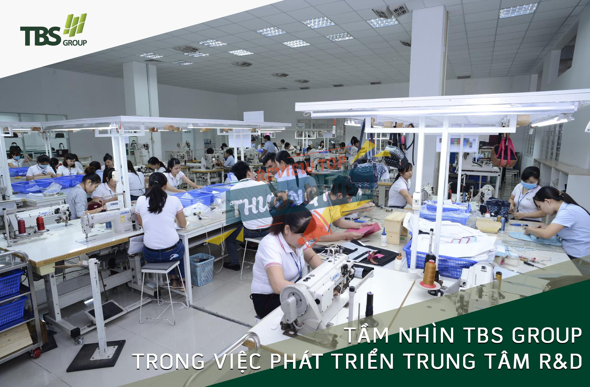 Review Công Ty Cp Đầu Tư Thái Bình Có Uy Tín Không? 12 Môi trường làm việc và Phúc lợi tại TBS Group