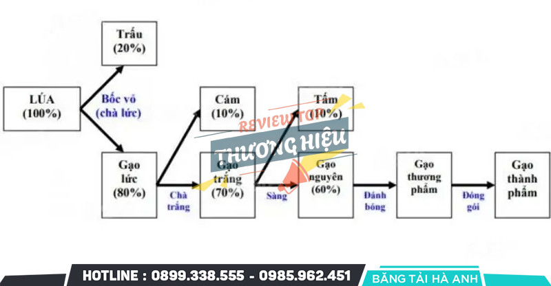 Quy trình sản xuất và công nghệ chế biến gạo hiện đại