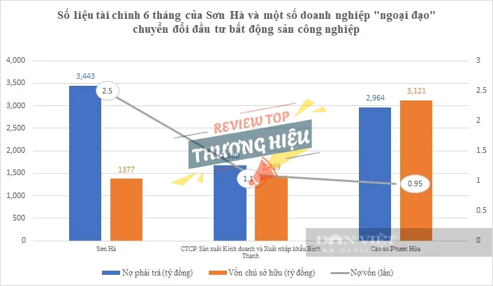 Review Công Ty Cp Quốc Tế Sơn Hà Có Uy Tín Không? 13 Tổng nguồn vốn và vốn chủ sở hữu Sơn Hà
