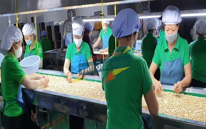 Review Công Ty Cp Cảng Rau Quả Có Uy Tín Không? 10 Tổng quan về Công Ty CP Cảng Rau Quả (THE VEGETEXCO PORT JSC)