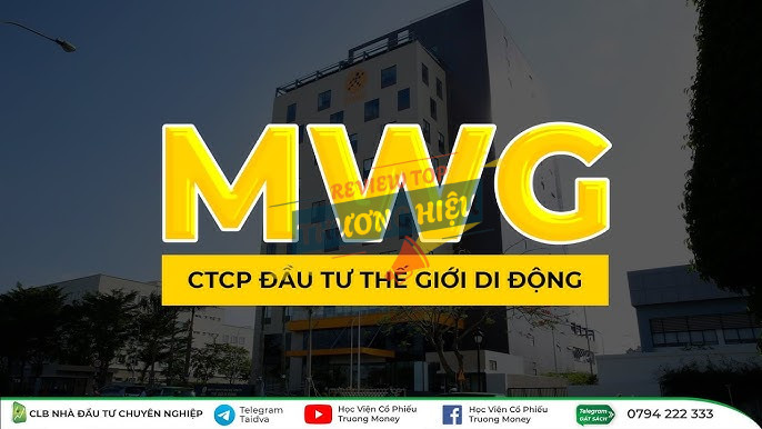 Review Công Ty Cp Đầu Tư Thế Giới Di Động Có Uy Tín Không? 12 Tổng quan về Công Ty Cổ phần Đầu tư Thế Giới Di Động (MWG)