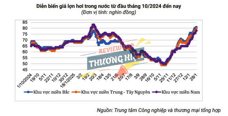 Tổng tài sản và quy mô doanh nghiệp DABACO GROUP