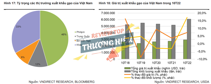 Review Công Ty Cp Quốc Tế Gia Có Uy Tín Không? 11 Vị thế và quy mô trong ngành lúa gạo Việt Nam của Công Ty Cổ Phần Quốc Tế Gia