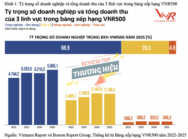 Xếp hạng VNR500 và tốc độ tăng trưởng ấn tượng của Công Ty Cổ phần Công nghệ và Dịch vụ Imedia