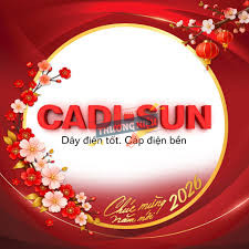 Review Công Ty Cp Dây Và Cáp Điện Thượng Đình Có Uy Tín Không? 19 CADI-SUN có phải là lựa chọn tốt cho bạn?