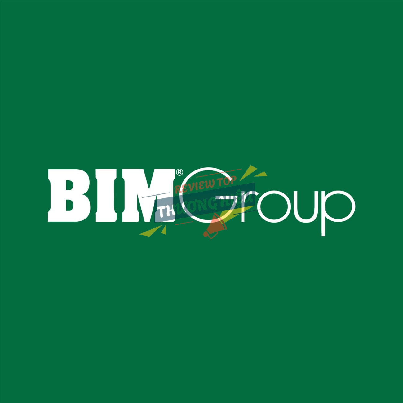 Công Ty Cổ Phần Tập Đoàn BIM