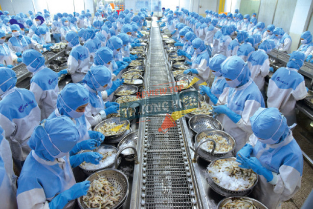 Đánh giá uy tín và vị thế của STAPIMEX trên thị trường