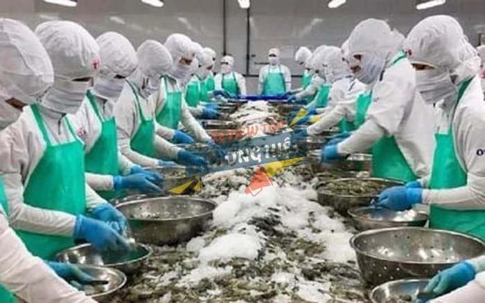 Thị trường xuất khẩu rộng khắp và đối tác lớn