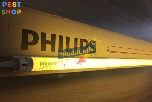 Bóng đèn vàng đuổi côn trùng Philips TL-D 36W/16
