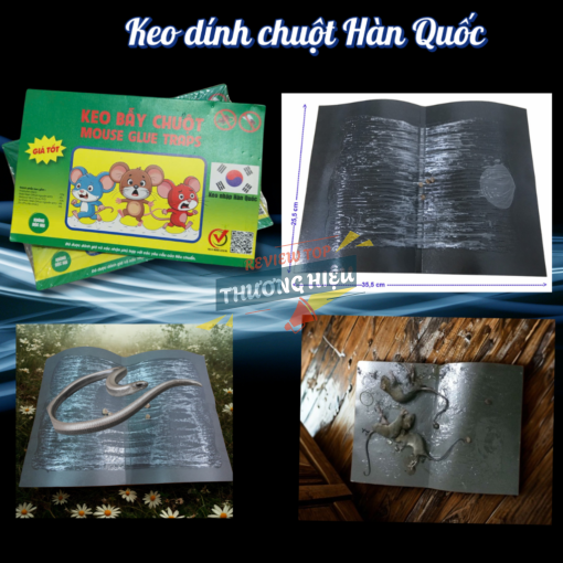 Pest Shop là ai? Hành trình 5 năm bảo vệ không gian sống người Việt 25 Keo dính chuột USA Sticky Rat Traps