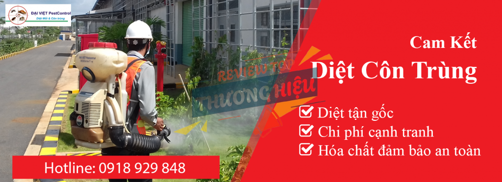 Kiểm soát Côn trùng Đại Việt