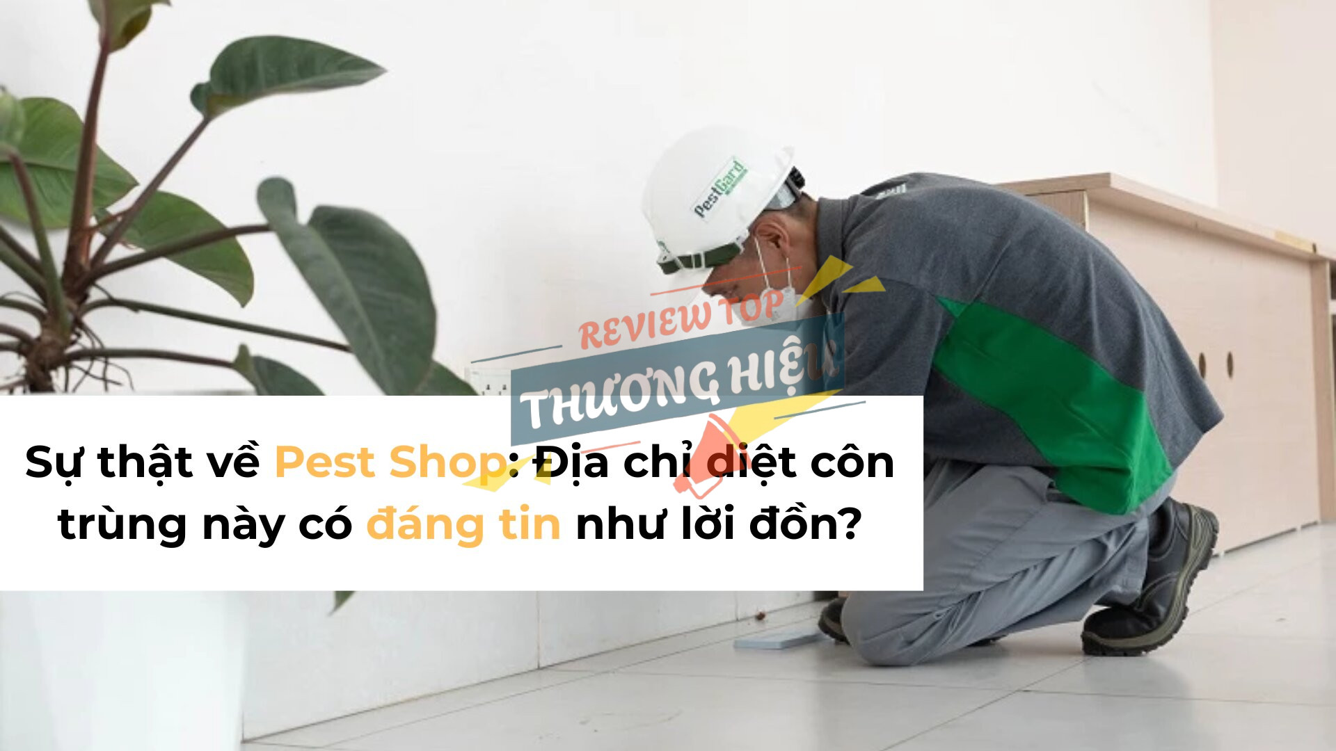Sự thật về Pest Shop Địa chỉ diệt côn trùng này có đáng tin như lời đồn