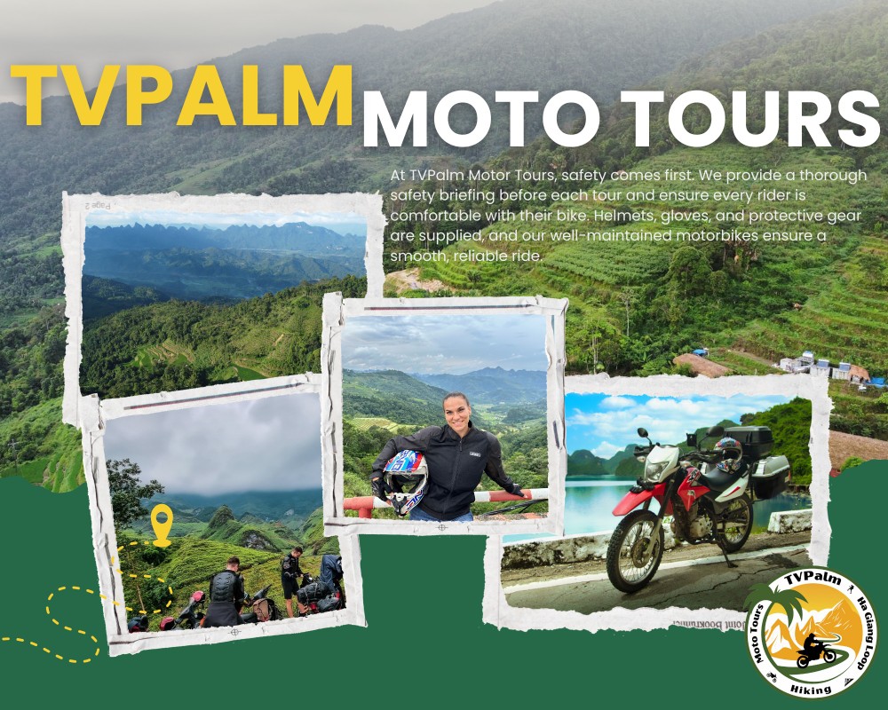 TVPalm 