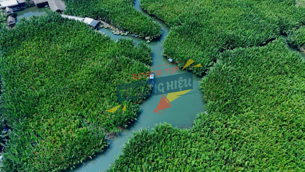 Giới thiệu Tour Coconut Basket Boat Tour Hoi An tại Làng Dừa Xanh chi tiết từ A đến Z