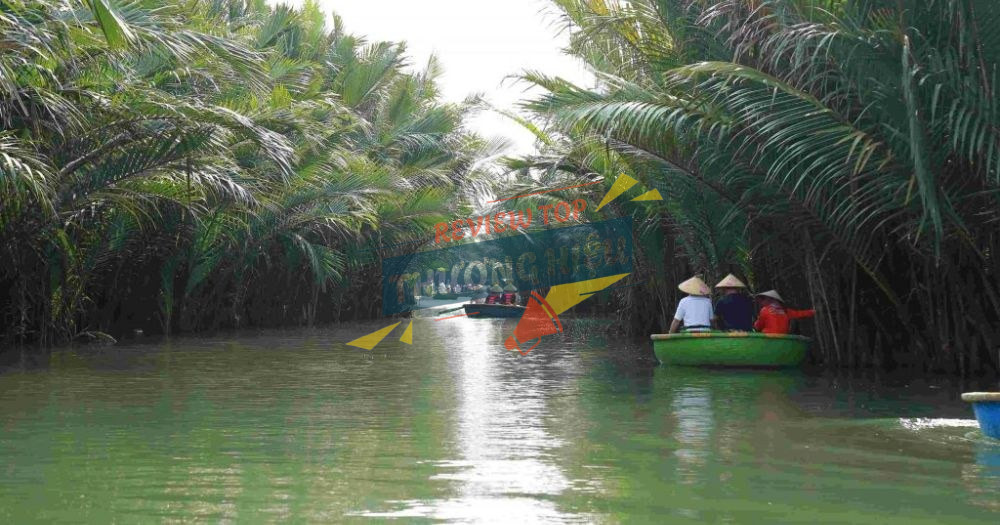 Giới thiệu Tour Coconut Basket Boat Tour Hoi An tại Làng Dừa Xanh chi tiết từ A đến Z 10 Hành trình xuôi dòng sông nước khám phá rừng dừa nước Cẩm Thanh Hội An